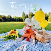 格子野餐防潮垫户外便携野营防水垫沙滩帐篷垫子野炊草坪垫单人