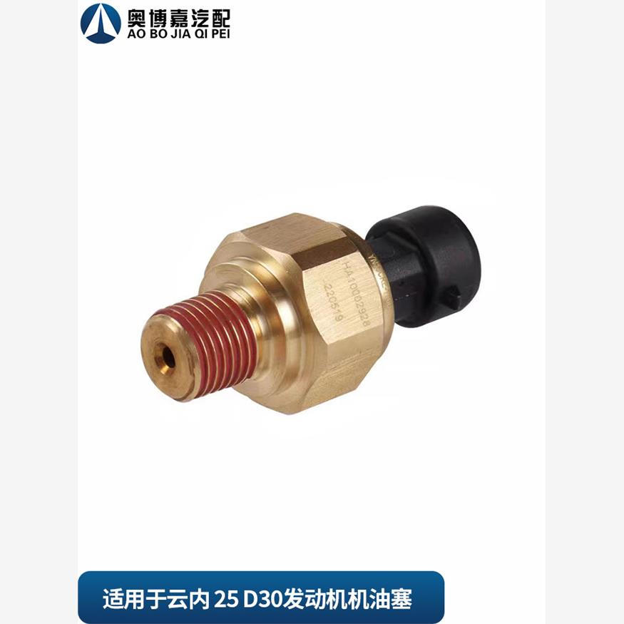 X 10000551适用于帅凌云内部发动机油压力传感器1Ecs00-38231B0