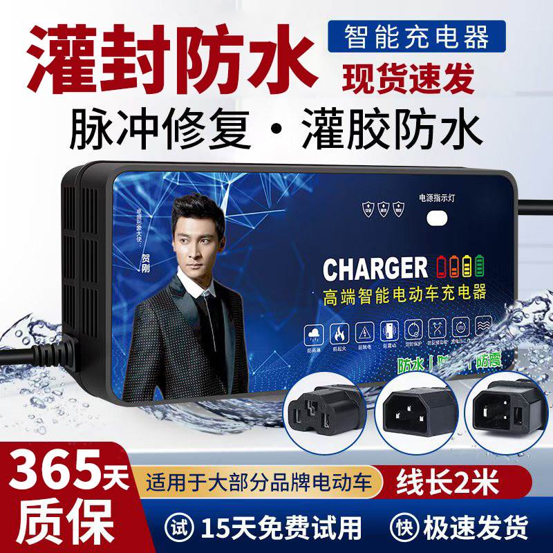 电动车电瓶防水充电器48V12AH60V20AH72V通用新日小刀