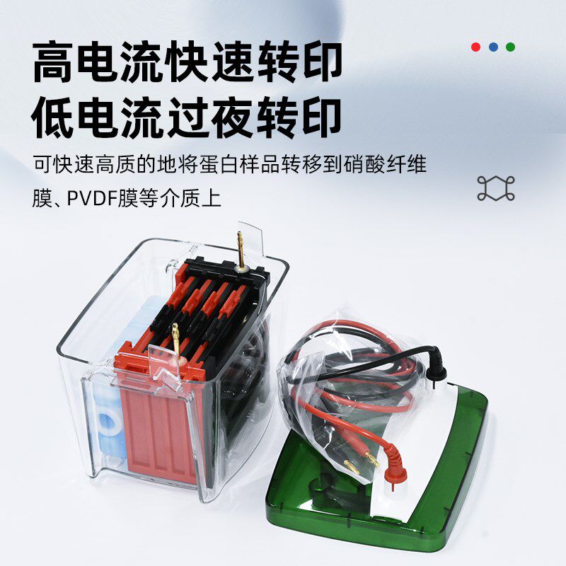 DYC-ZY4 4块胶小型转印(湿转)电泳仪 转印槽 转膜电转电泳槽 转印