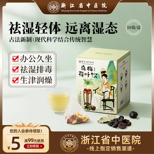 乌梅汤2.0乌梅荷叶饮浙江省中医院陈皮山楂甘草玫瑰花祛湿茶养生