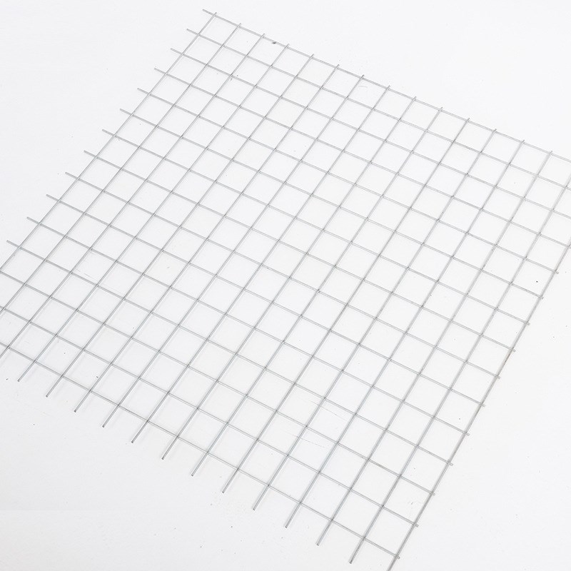 不锈钢电焊网 不锈钢焊接网 养殖电焊网片304 钢丝隔离网