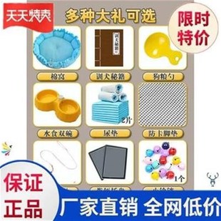 中型狗笼子笼室内新款美观狗屋舒E适简约笼子小型套餐结实养殖笼