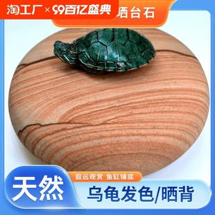 黄腊石天然木纹乌龟晒台鱼缸观赏造景垫脚石龟苗发色晒背休息铺底