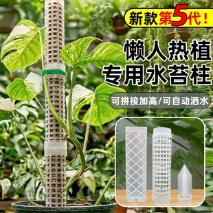 水苔柱龟背竹热值绿萝攀附柱可拼接延长调节爬藤植物固定架支撑杆