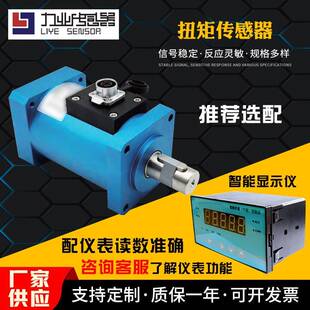 扭矩传感器动态力矩扭矩仪电机动态扭矩力转速组合传感器