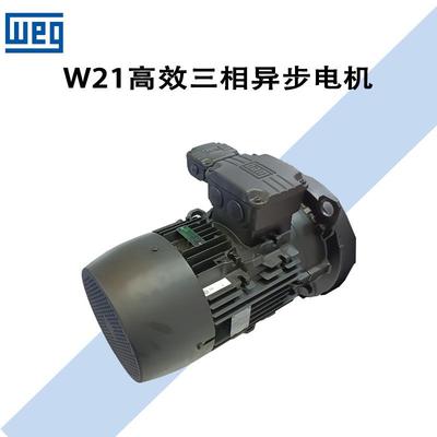 电机/W21铝壳/铸铁三相异步交流电动机/高效低压IEC Motor