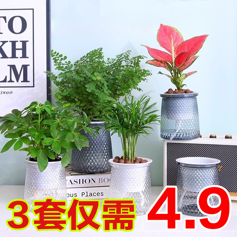 塑料花盆懒人自动吸水盆