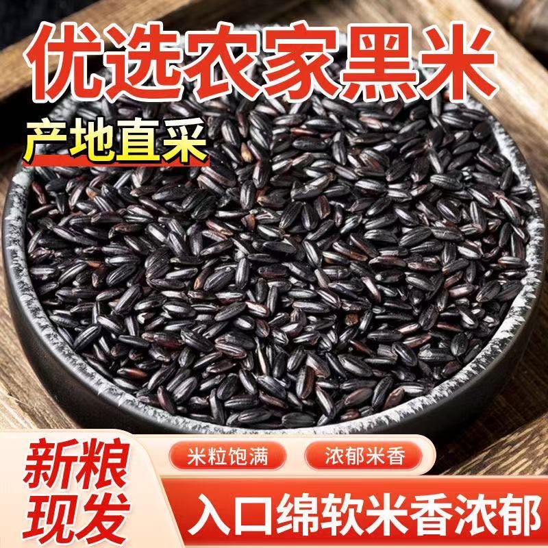 2025上新】东北新黑米农家自产自种黑香米粗粮产地直发批发价便宜