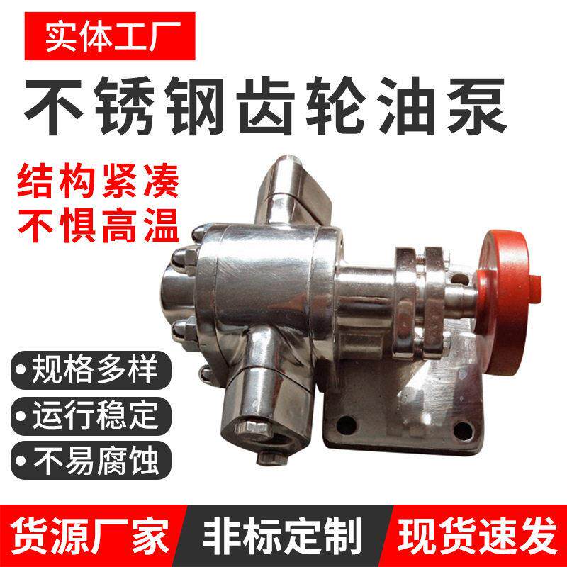 跨境不锈钢齿轮油泵铸铁防爆自吸润滑油齿轮泵化工大流量抽油泵