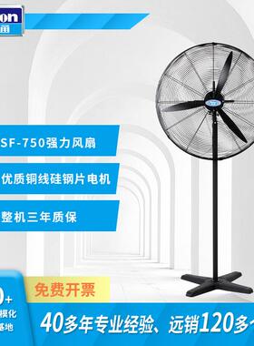 Deton风扇工业电风扇强力落地扇单速牛角扇30寸工厂DF750-4