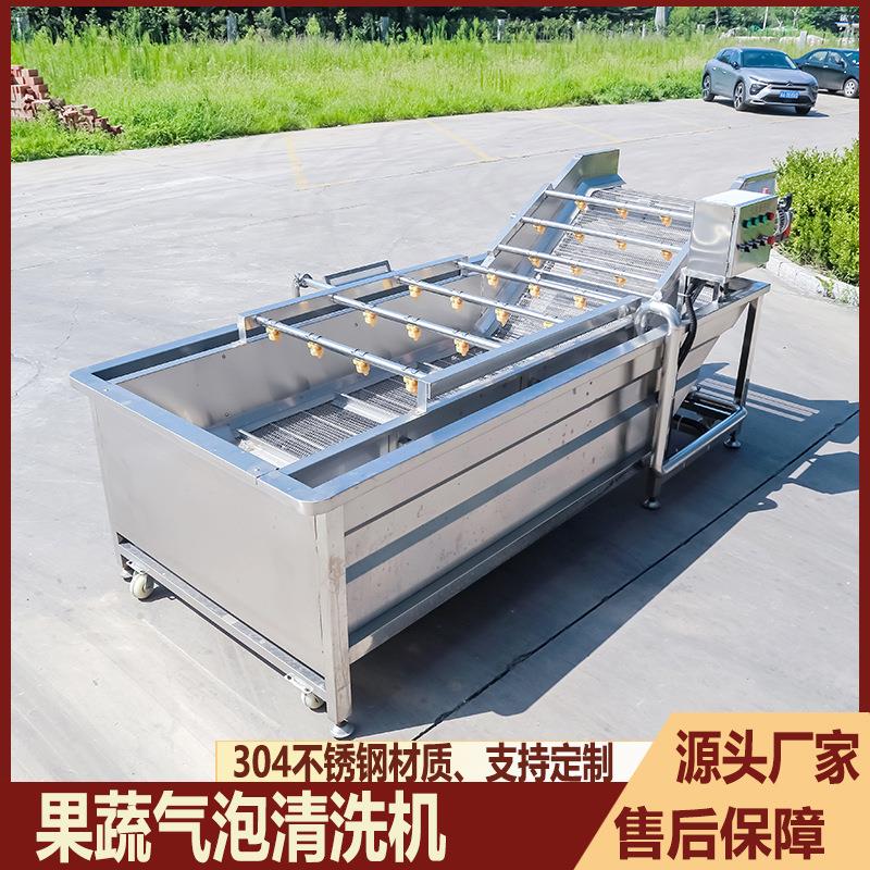 果蔬气泡清洗机粽叶桑葚蓝莓去农残清洗设备商用叶类蔬菜洗菜机