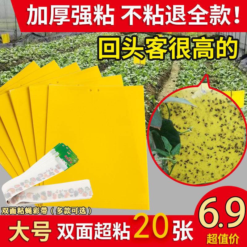 粘虫球粘小飞虫神器粘虫板黄板大粘蝇纸