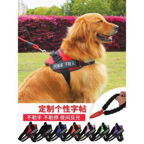 背心式狗狗牵引绳子拉布拉多金毛用品小型中型大型犬遛狗绳狗炼子