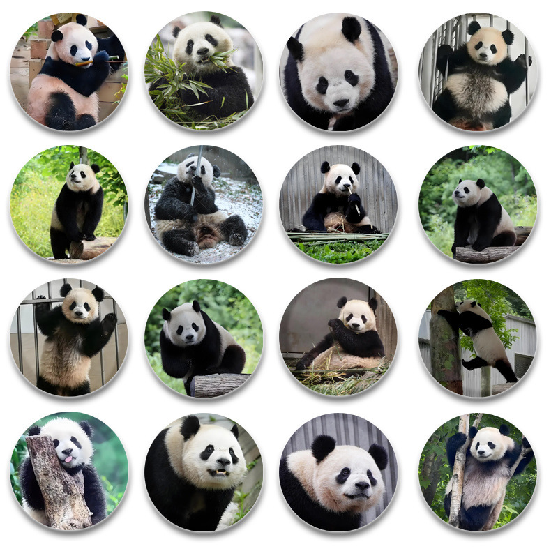 宝力58mm徽章马口铁吧唧书包挂件熊猫谷子胸针胸章diy校徽勋章