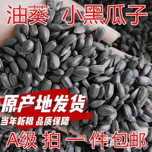 黑珍珠小瓜子油葵籽鹦鹉鸟食仓鼠鸟粮鸽粮产地包邮麻子火麻仁新粮