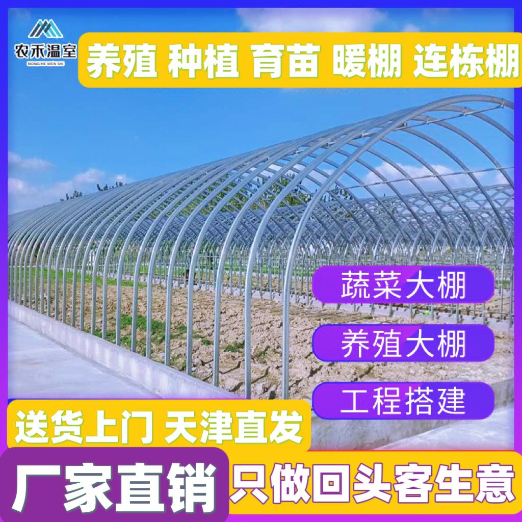 温室大棚骨架钢管养殖种植家用全套猪鸡舍钢架连栋配件简易蔬菜棚