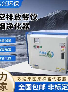 厂家直销饭雾店除油烟机 静式电油雾收集器AGR 电子化烟净器低空