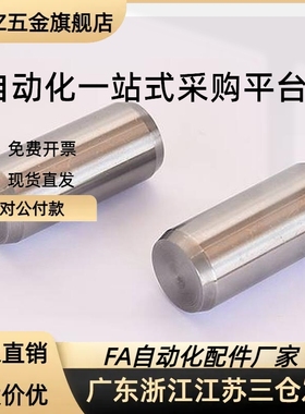 精密负公差定位销BLX01-h7-D10/12-L12/15/20/25/30/