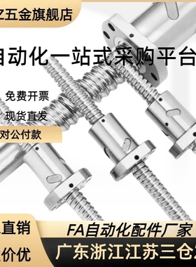 滚珠丝杆BSWE BTWE0802 1002 1204 1210 1510 1516 1520 1605替代