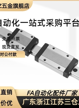 滑块线轨微型直线导轨SSELBL SSEL2B SSELB13-45 70 95 120 170