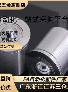 BCHPT16/20/24带柱塞功能钢珠滚轮BCHP14/18/22