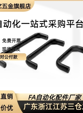 XAG11-L75/L100/L125/L150/L175铝合金内装型B型椭圆形拉手