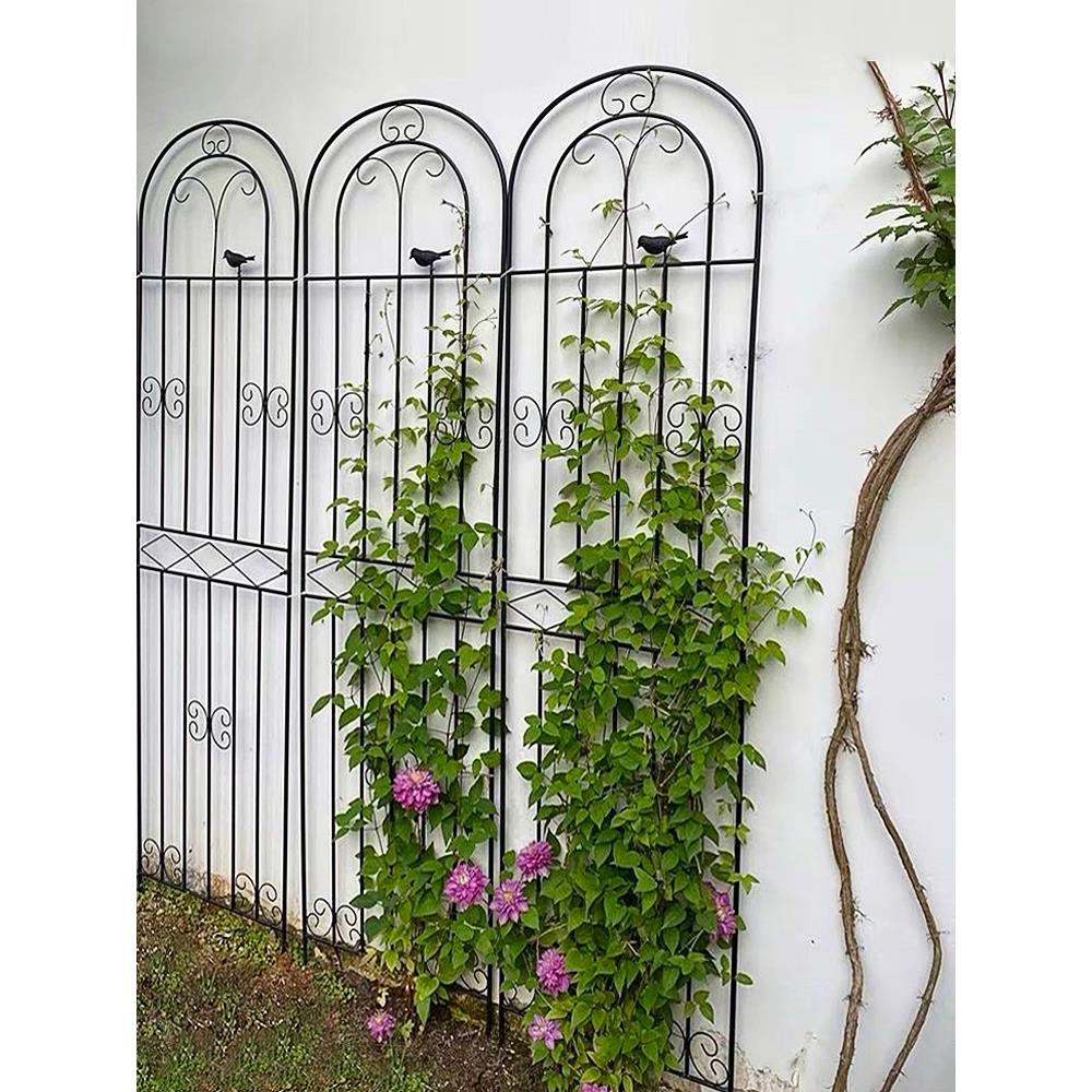 铁线莲爬藤架蔷薇月季种植花园栅栏户外花架支撑杆铁艺植物攀爬架