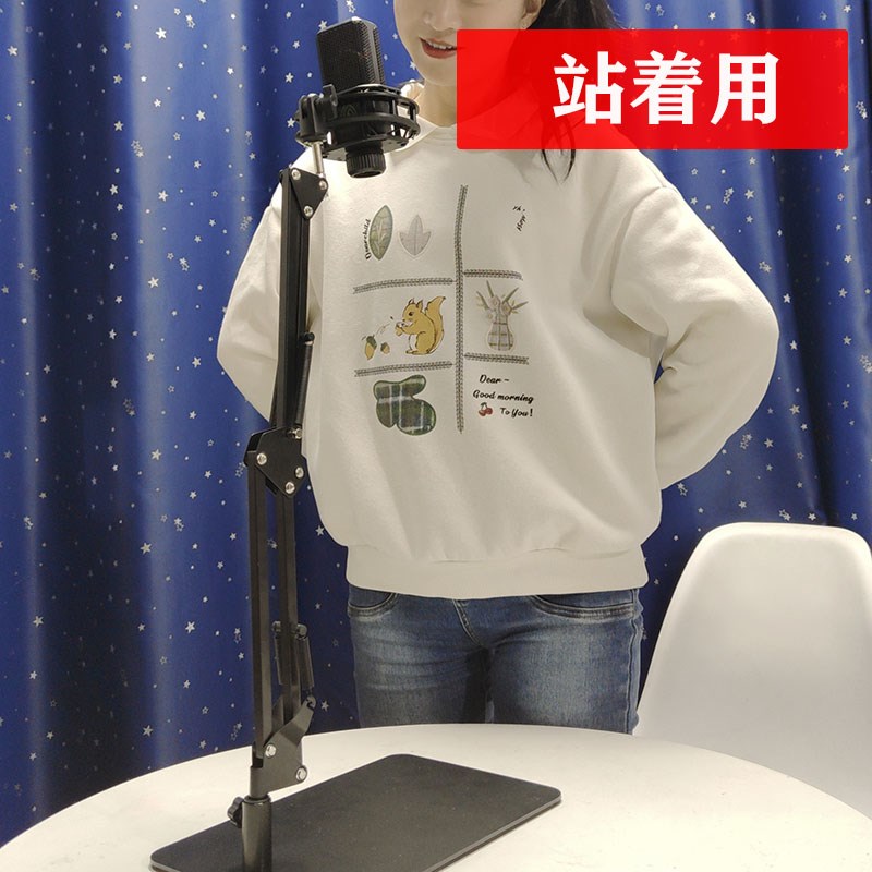 桌面麦克风支架电容麦悬臂支架通用防震架放置架U87/103话筒支架