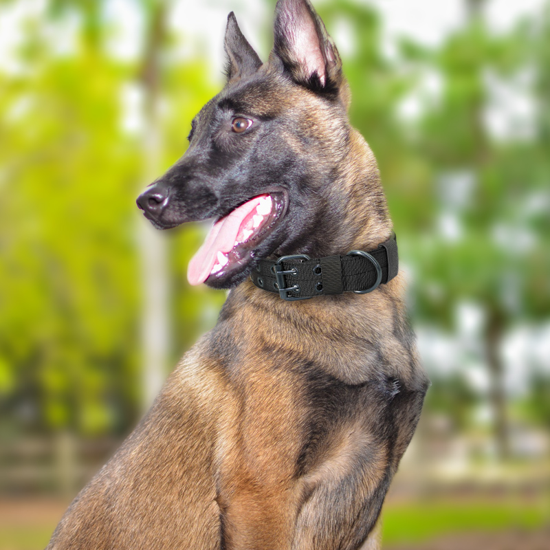 大型犬狗狗项圈牵引绳用品狗圈颈圈脖圈中型犬金毛德牧猛犬脖套