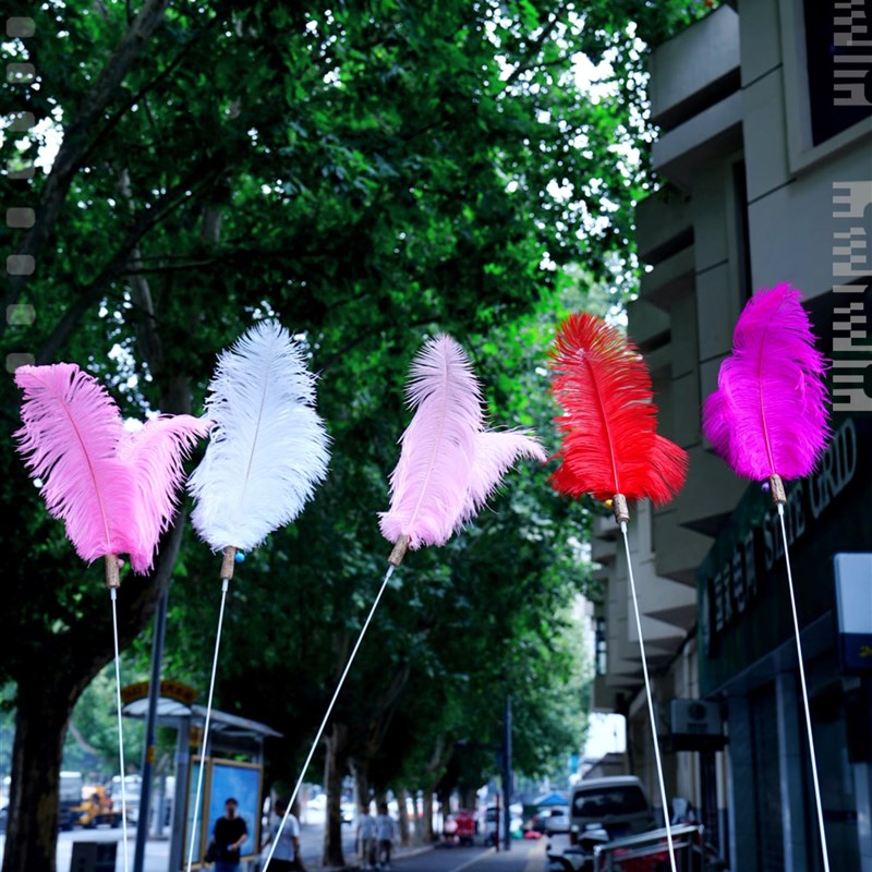 呵护星球猫咪赛级长杆逗猫棒原木手柄原生羽毛宠物玩具 猫咪解闷