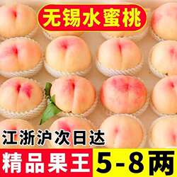 无锡阳湖景水蜜桃日川白凤放软撕皮爆汁新鲜甜香桃当季时令水果山