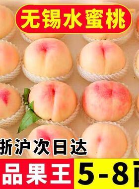 无锡阳湖景水蜜桃日川白凤放软撕皮爆汁新鲜甜香桃当季时令水果山