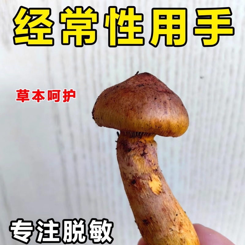 【日本专研】耐久降敏膏敏感度降低耐久纯天然植物萃取官方正品