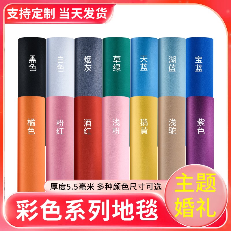 加厚拉绒地毯满铺灰色蓝色绿色紫色黄色家用卧室房U间商用工程地