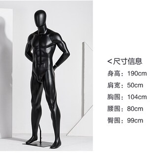 服装模特道具强壮肌肉男模橱窗陈列拍摄体育运动展示假人立体模型