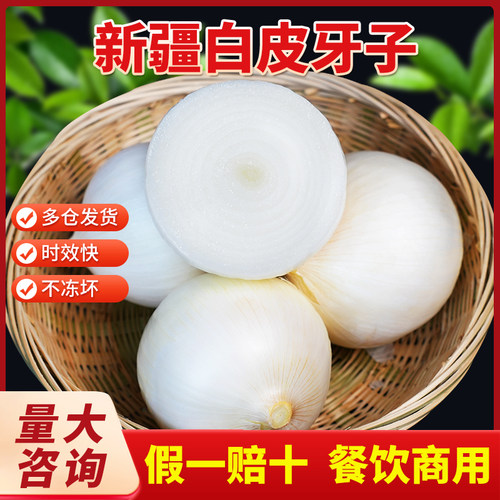 白洋葱新疆皮牙子手抓饭配料餐饮直供新货凉拌生吃新鲜新疆直发