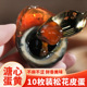 北海海鸭蛋皮蛋溏心松花蛋10枚装 红树林散养变蛋开袋即食下酒凉菜