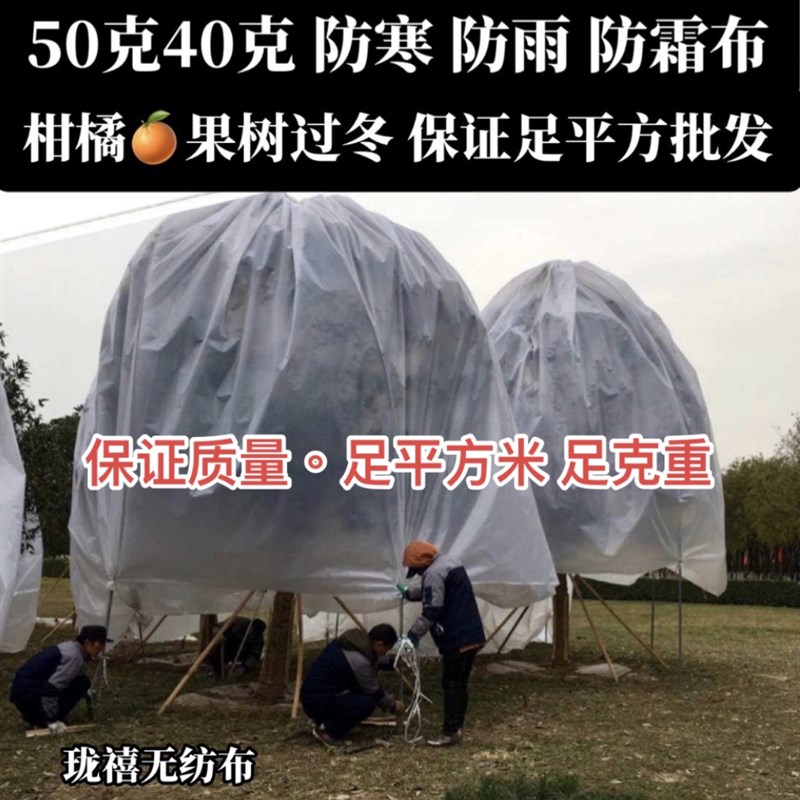 防雨罩単张遮盖布果树綠色植物防霜防水透气抗老化V水果防裂遮雨