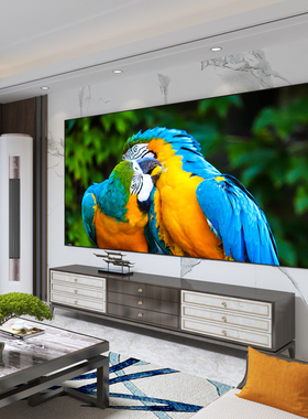 雄爵新品白晶投影幕布家用j画框幕布100寸120寸挂墙投影幕布电影