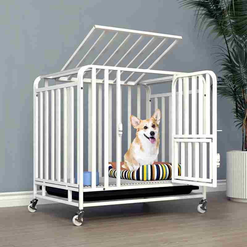 狗笼子中型犬室内小型犬带厕所柯基泰迪狗窝金毛大型犬宠物围栏