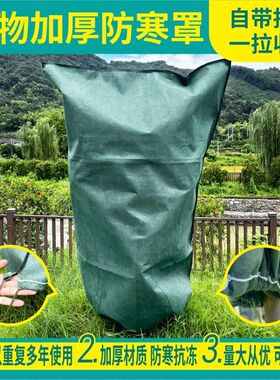 果树橘子防寒布柑橘防冻t保暖保温篷布树木绿植物防霜雪防风越冬