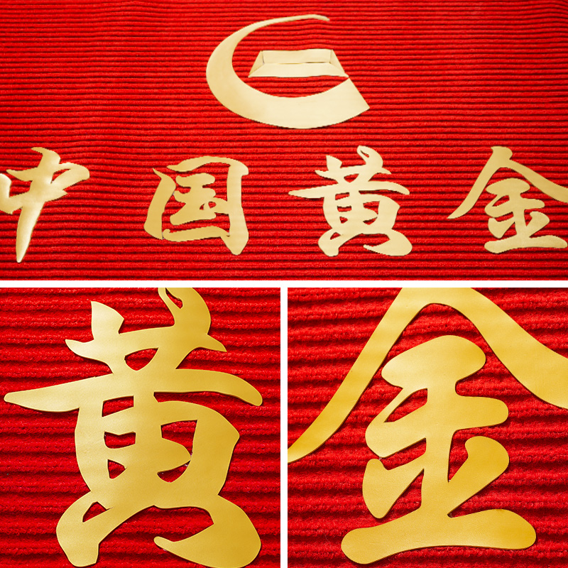 商用大门口迎宾地毯定制logo酒店电梯公司门口脚垫大尺寸印字地垫