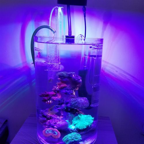 DIY蚂蚁海缸灯全自动日出日落LED海水珊瑚灯 微缸灯 全光谱60方缸