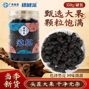 穗健采桑椹350g/罐  中药材桑葚干桑泡搭枸杞养生茶 中药饮片