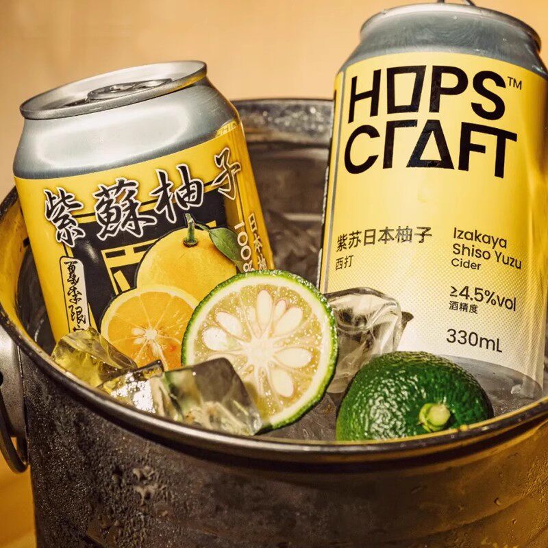 重庆立吞 云南野生青梅紫苏桃子杨梅海盐西打果味国产精酿啤酒