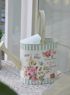 浇水壶法式田园铁艺小洒水壶浇花壶花店橱窗花园庭院杂货装饰摆件