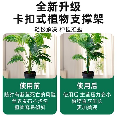 植物支撑杆园艺花卉绿植支撑架固定神器防倒蝴蝶兰花固定器扶持架