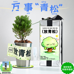 放青松绿植盆栽办公室桌面雾凇植物摆件万事青松生日伴手新年礼物