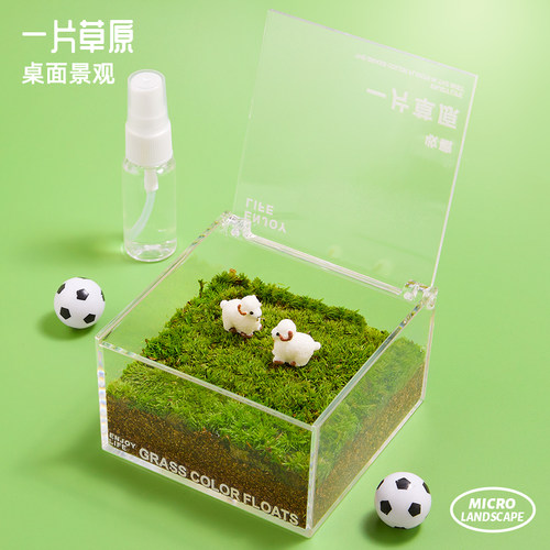 一片草原 苔藓微景观桌面懒人绿植草坪自然简单好养引趣味力植物8